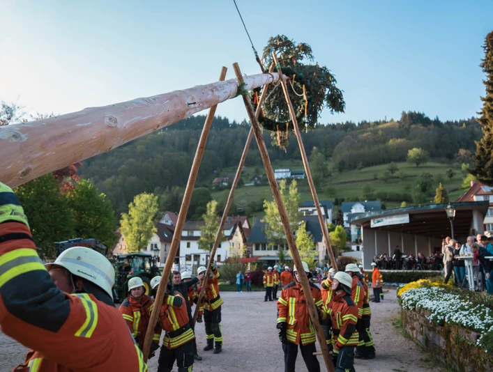 Maibaumstellen in Ottenhoefen
