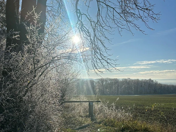 VitalWege im Winter Winterlicher Feldweg bei Einbeck mit Raureif an Sträuchern, Sonnenlicht und klarblauem Himmel
