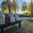 Erpentrup Milchkannen Mehrere alte Milchkannen auf einer Holzbank am Straßenrand vor herbstlicher Landschaft.