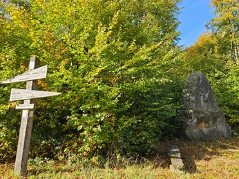 Steinmonument mit Hirschrelief im Wald bei Bad Driburg, daneben hölzerner Wegweiser und Bank.