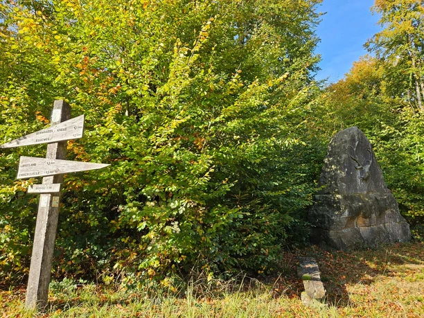 Langeland Bodostein Steinmonument mit Hirschrelief im Wald bei Bad Driburg, daneben hölzerner Wegweiser und Bank.