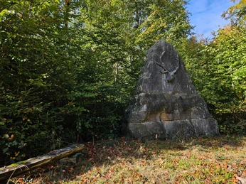 Bad-Driburg Langeland Bodostein Großer Gedenkstein mit Hirschrelief im Wald von Bad Driburg, umgeben von Laubbäumen und Laub am Boden.