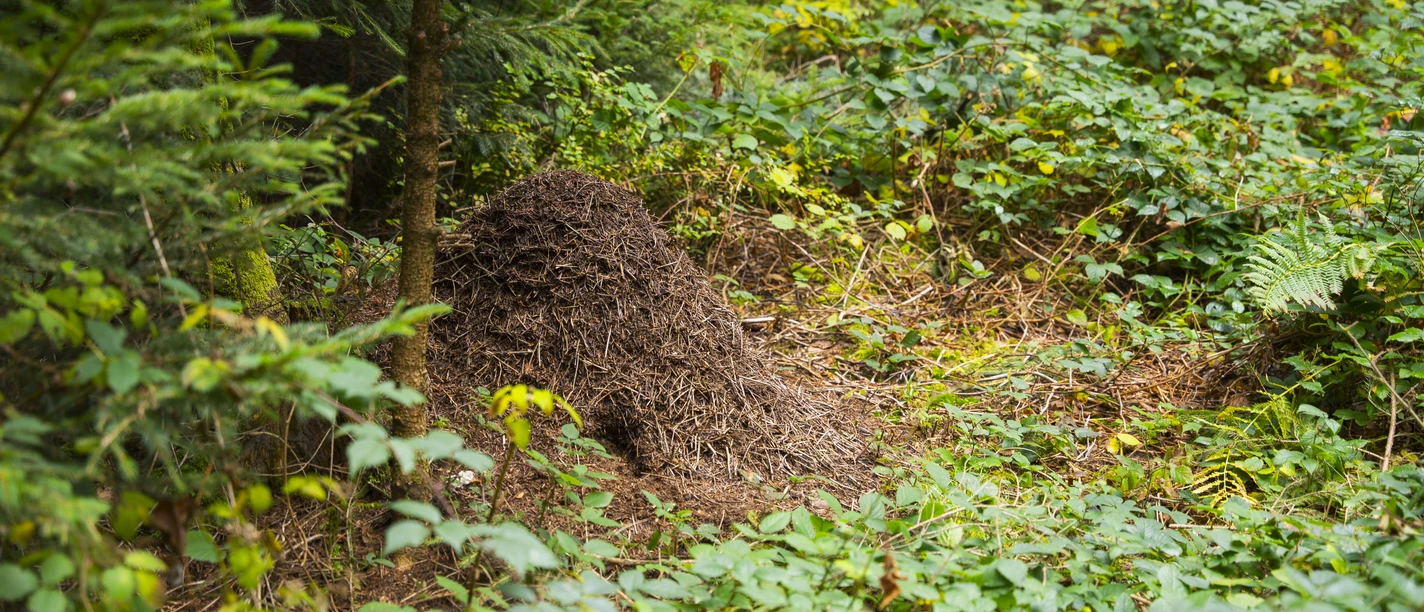 © Entlebucher Medienhaus AG