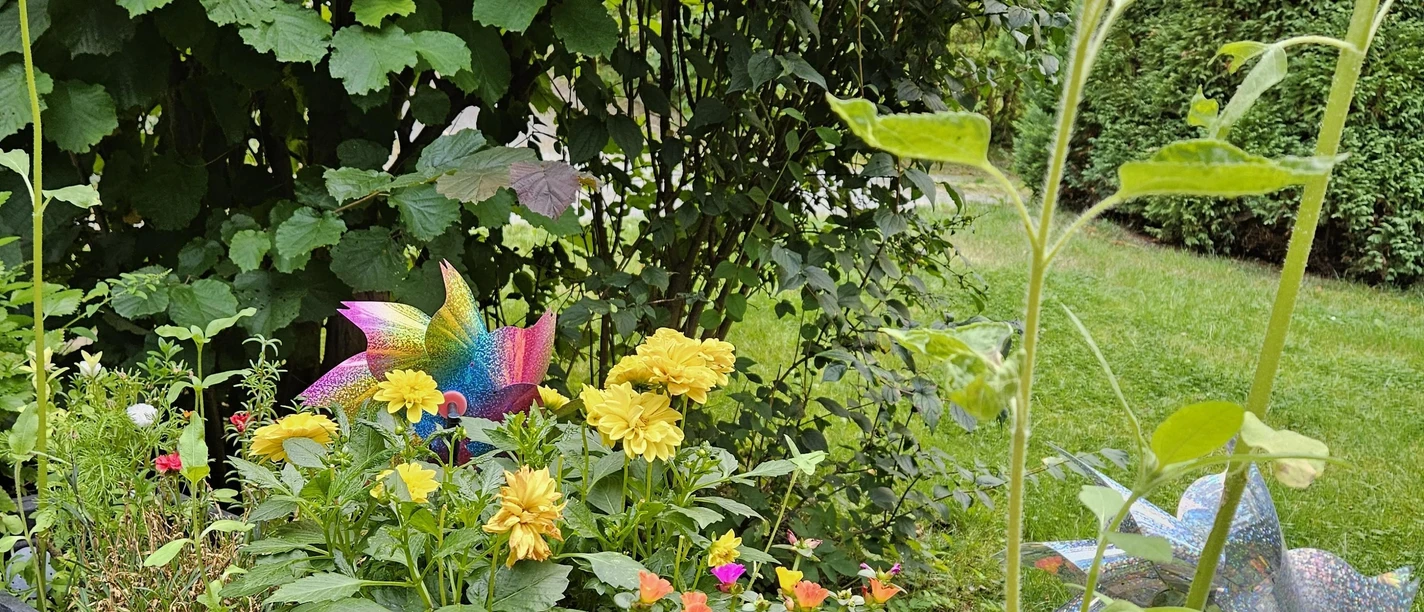 Blühende Oasen im Sommer