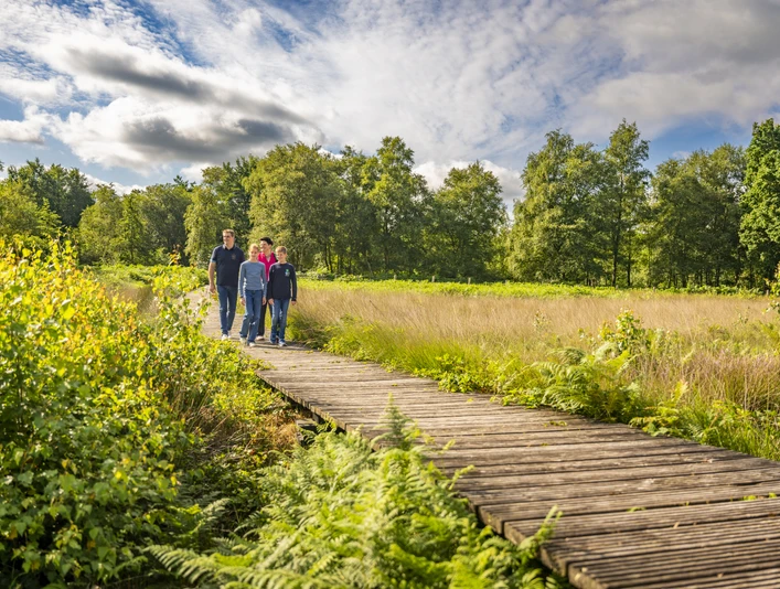 Familienausflug - Emsland Moormuseum, Holzsteg Hochmoorfläche ©Emsland Tourismus GmbH (2)