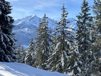 28.11.25: Winterspaziergang zur Eckenhütte
