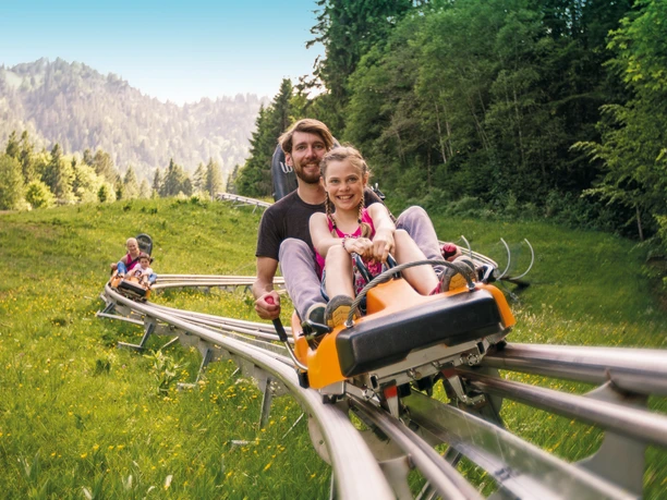 Alpine Coaster