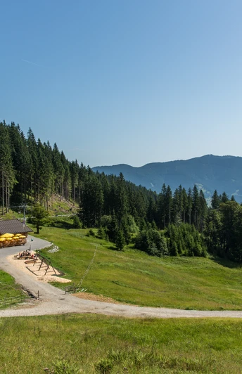 Kolbensattelhütte mit Ausblick