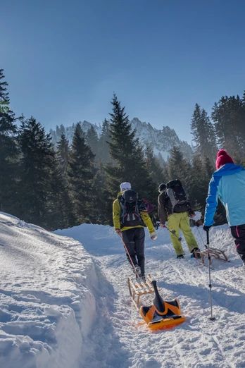 Rodelbahn am Pürschling