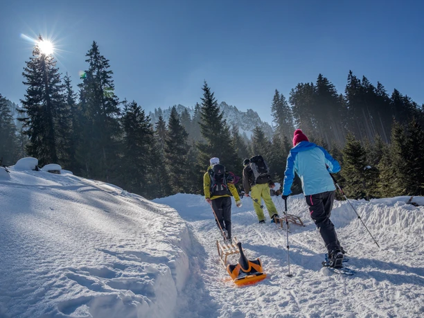 Rodelbahn am Pürschling