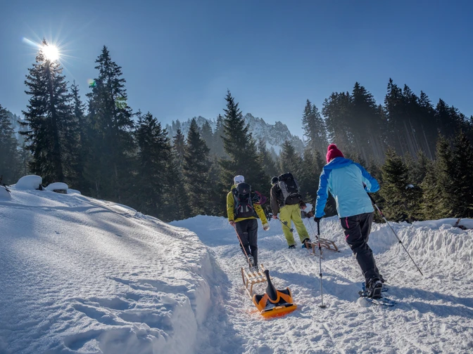 Rodelbahn am Pürschling