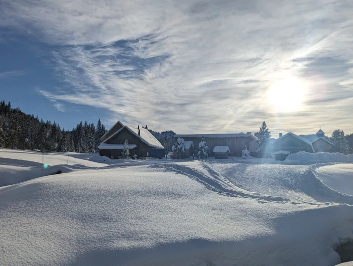 PXL 20251128 135829856