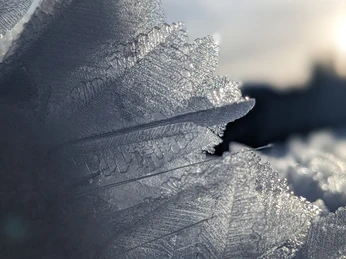 PXL 20251128 144002298 PORTRAIT