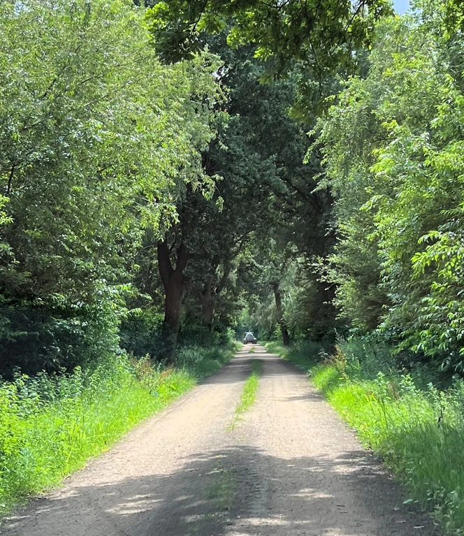 4_Weg ausgebaut (zugeschnitten).jpg