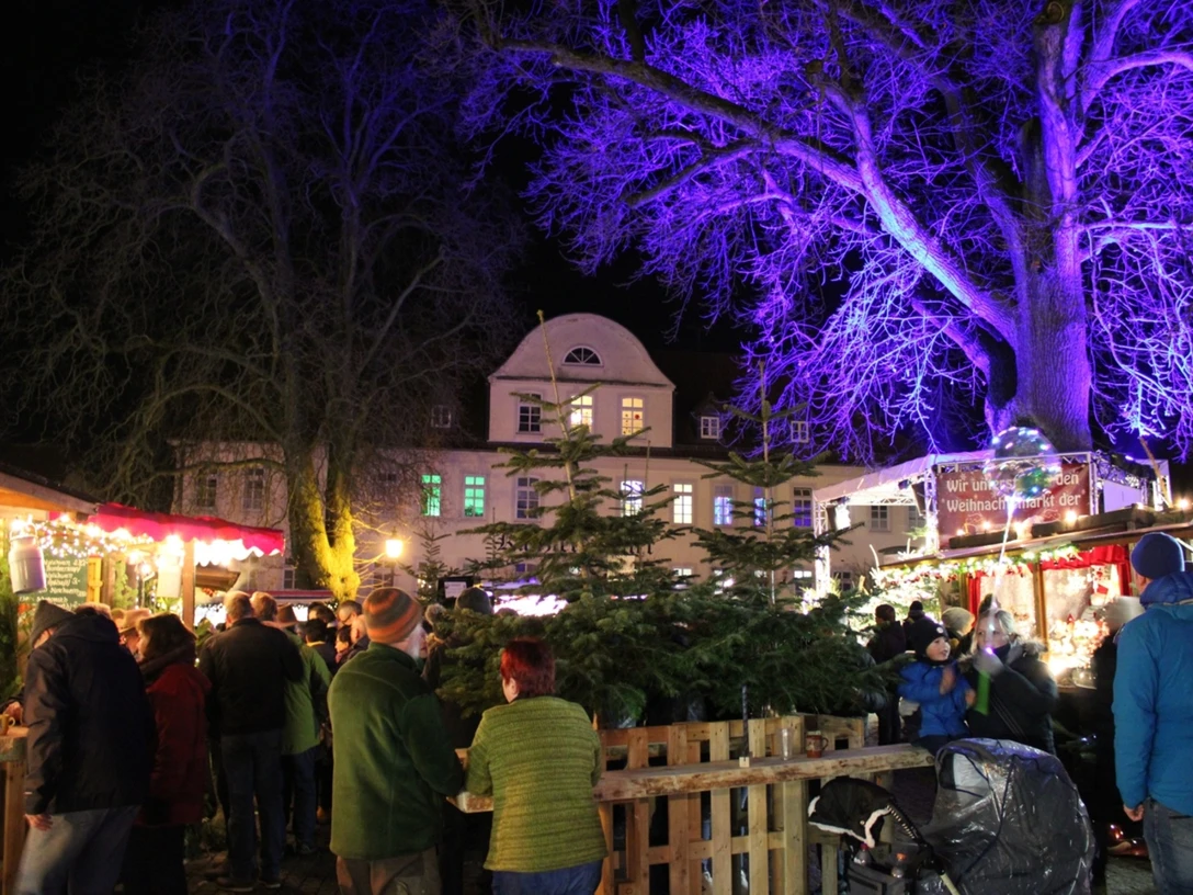 csm_Schoeninger_Weihnachtsmarkt_auf_dem_Burgplatz_b765dfd276.jpg