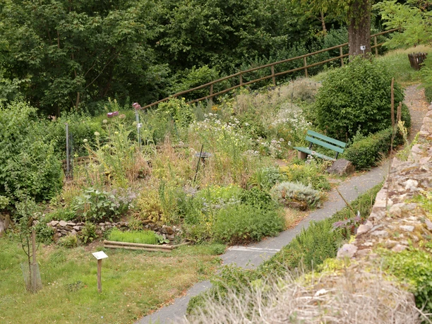 088HR-2025- Lindenfels - Heilpflanzengarten im Kurgarten .JPG