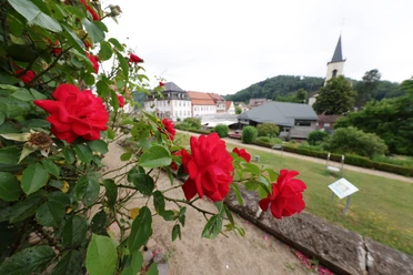 097HR-2025- Lindenfels - Kurgarten Rosen.JPG