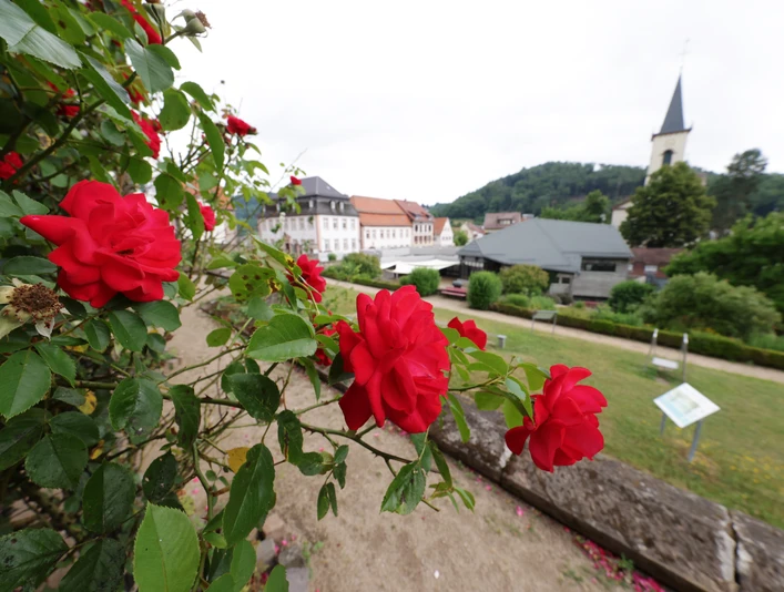 097HR-2025- Lindenfels - Kurgarten Rosen.JPG