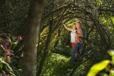 Unterwegs auf der Traumschleife Waldsaumweg