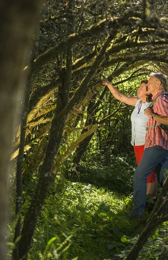 Unterwegs auf der Traumschleife Waldsaumweg