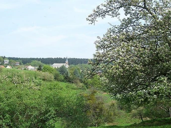 Ausblicke am Waldsaumweg
