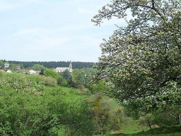 Ausblicke am Waldsaumweg