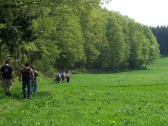 Wanderer auf dem Waldsaumweg
