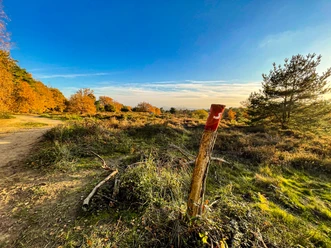Wahner Heide