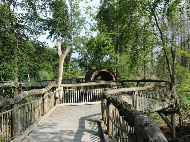 Holzsteg Holzsteg