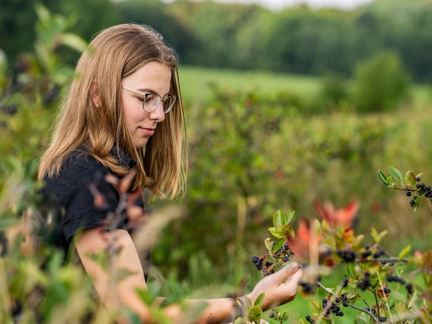 Früchteverarbeitung auf dem Dreiseithof in Sohra