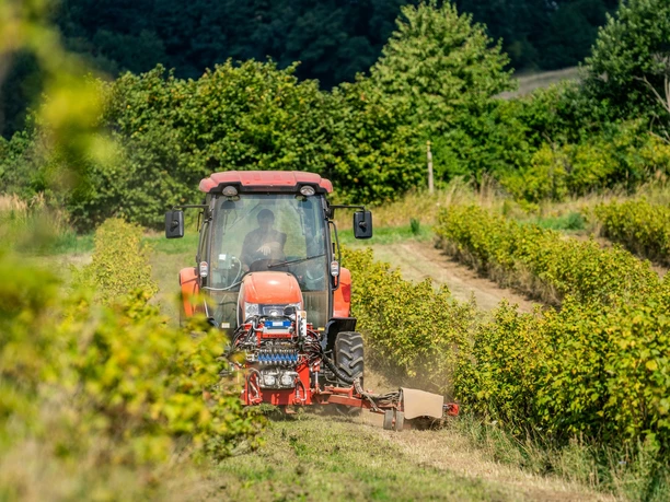 Früchteverarbeitung auf dem Dreiseithof in Sohra