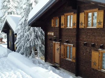 Chalet Zur Tanne an der Aletschpromenade