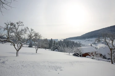 Winterlandschaft