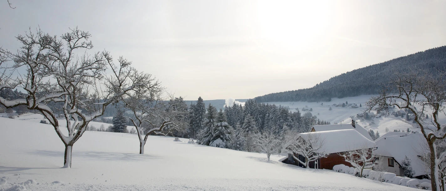 Winterlandschaft