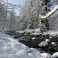 Der Langenbach im Winter