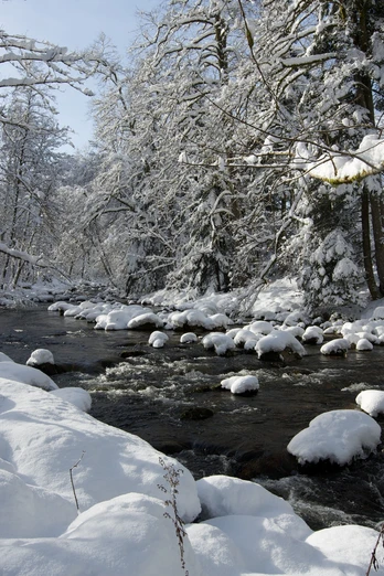 Der Langenbach im Winter