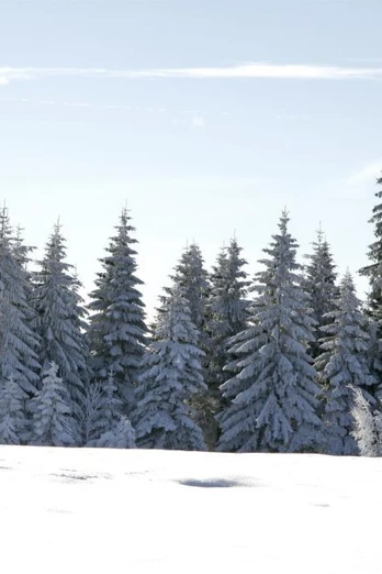 Winterlandschaft in Baiersbronn