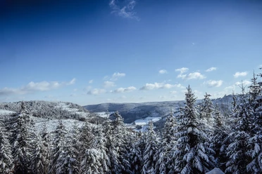 Winter in Baiersbronn