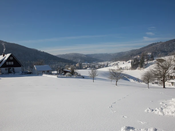 Obertal im Winter