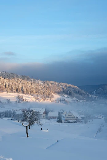 Tonbachtal im Winter