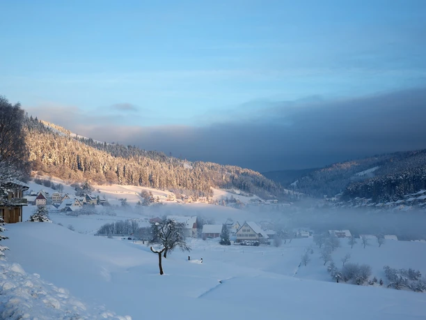 Tonbachtal im Winter