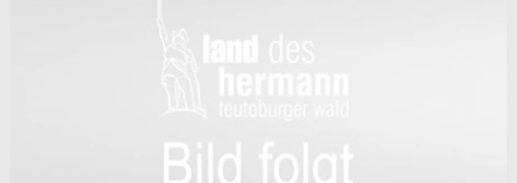 selected_selected_cropmiddle_Land_des_Hermann_Bild_folgt_09.png