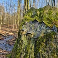 Langeland Emmer-Quelle Moosbewachsener Stein mit Metallrelief und Emmerquelle-Schriftzug in einem lichten Wald an einem Bach.