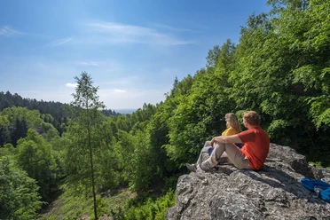 Die Aussicht auf den Hochwald vom Teufelsfelsen aus