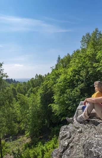 Die Aussicht auf den Hochwald vom Teufelsfelsen aus