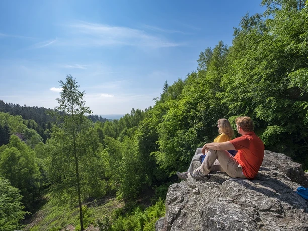 Die Aussicht auf den Hochwald vom Teufelsfelsen aus