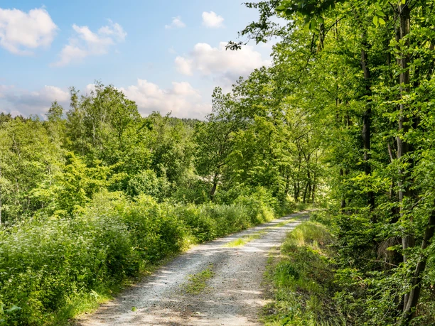 Etappe 13 Natursteig Sieg