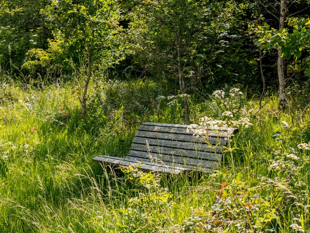 Etappe 13 Natursteig Sieg