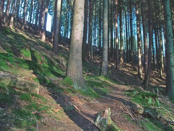 Pfade um die Talsperre