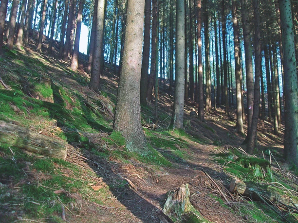 Pfade um die Talsperre